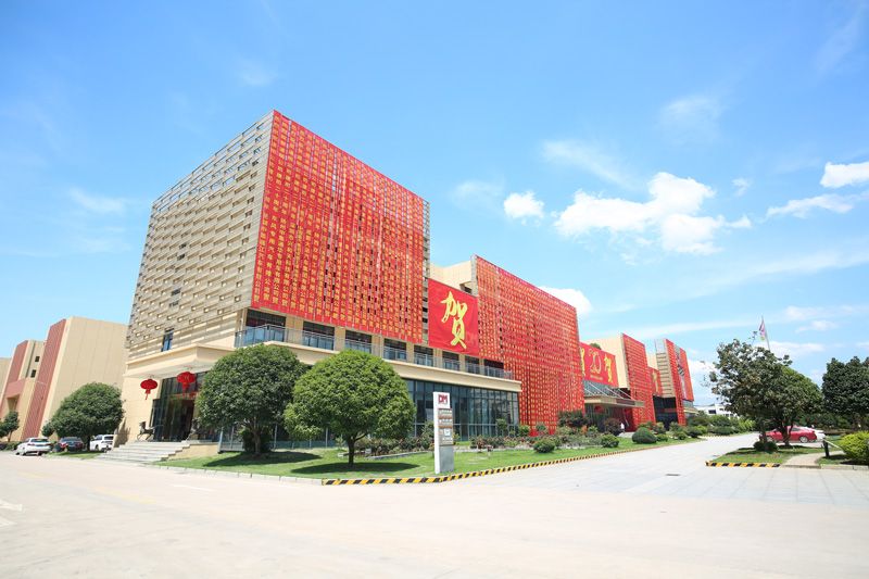 明星企业龙8官方网站光学逆袭之路